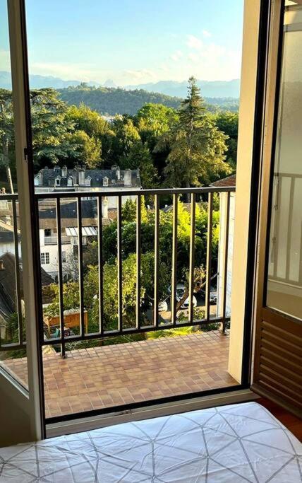 Centre Vue Sur Les Pyrenees Pour 2 Nuits Au Minimum * Pau